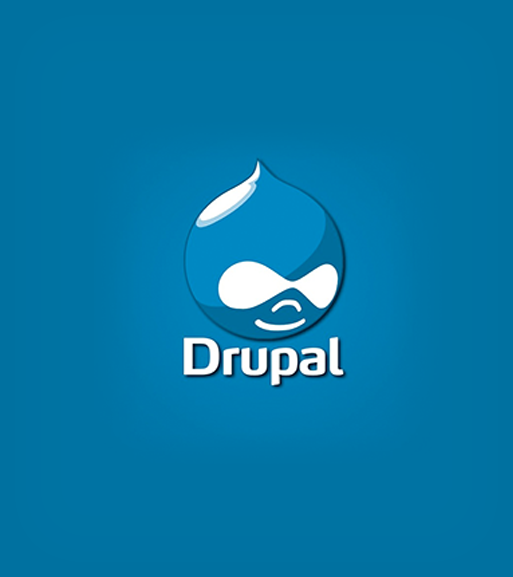 custom drupal development