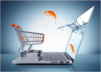 SWS eCommerce Solutions1